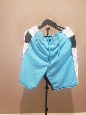 Speedo Men's Light Blue Colorblock Swim Shorts